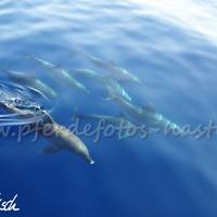 PICT0320