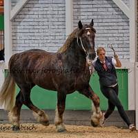 DSC 5124