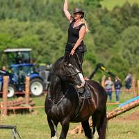 DSC 1107