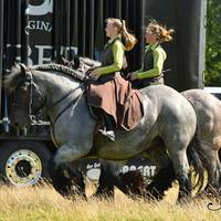 D50 7862