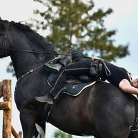 D50 9470