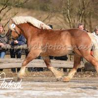 DSC 1699