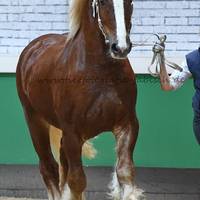 DSC 5179