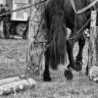 D50 5959 - Kopie