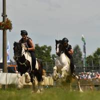 D50 6587